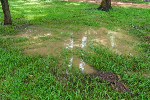 Cost of Storm Water Drainage Service in Goshen