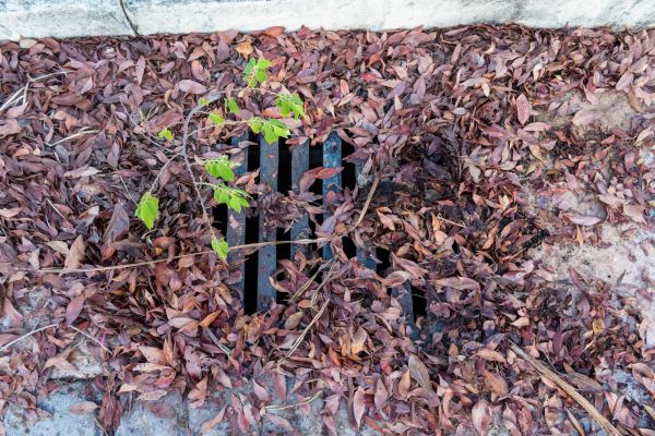 Cost of Yard Drain Unclogging in Goshen