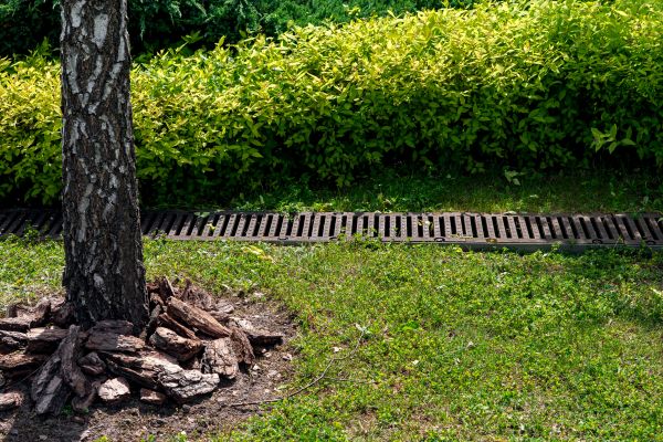 Cost of Wet Yard Drainage in Goshen