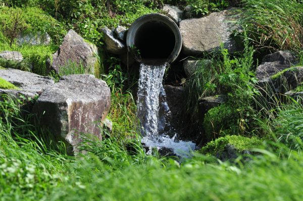 Water Redirection in Goshen