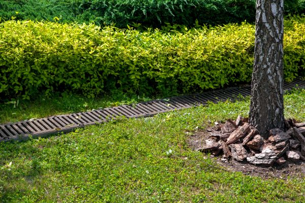 Cost of Residential Landscape Drainage in Goshen