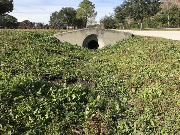 Cost of Swale Drainage Service in Goshen